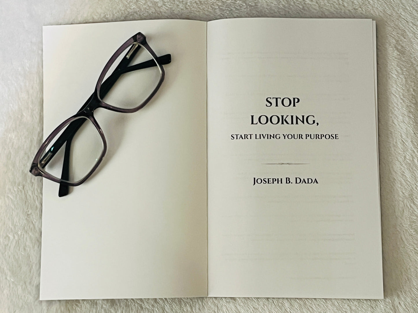 Stop Looking, Start Living your Purpose by Joseph B. Dada